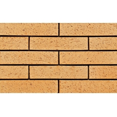 Brushed Indoor Brick Wall